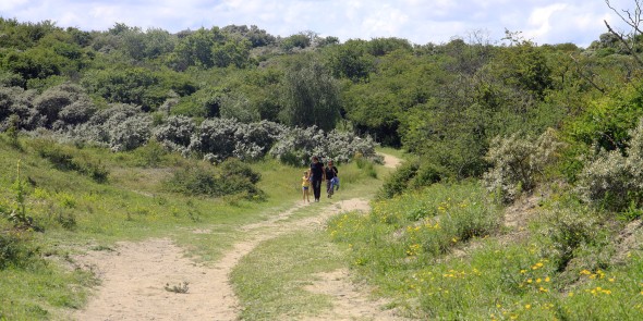 In_de_duinen.JPG