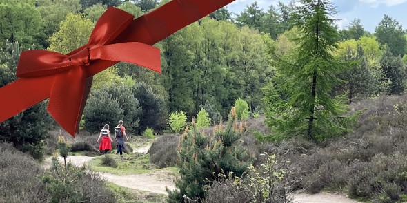 Wandelcadeau hoofdfoto met strik 3 © Ernst Koningsveld.jpg