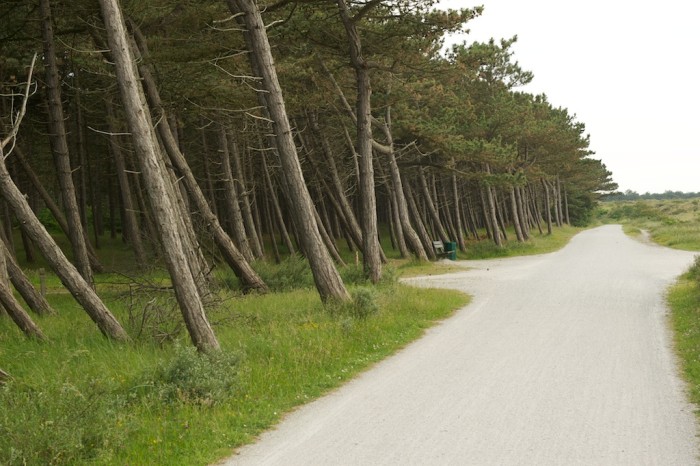 Streekpad_WaddenWandelen_etappe_Terschelling_3