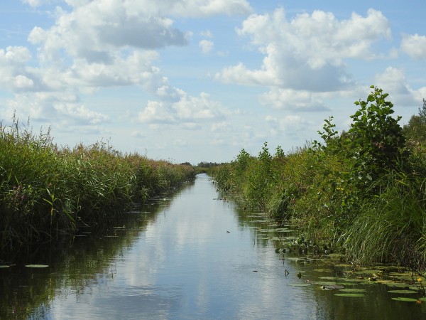 Weerribben © Gertjan van Noord