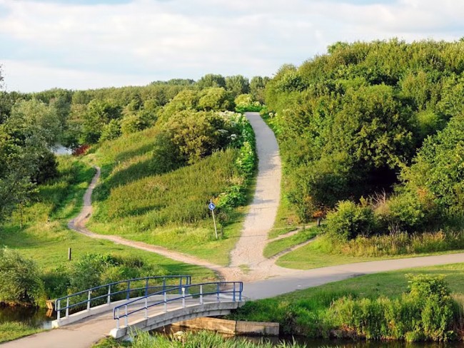 Hoge Bergse Bos © Zuid-Hollands Landschap