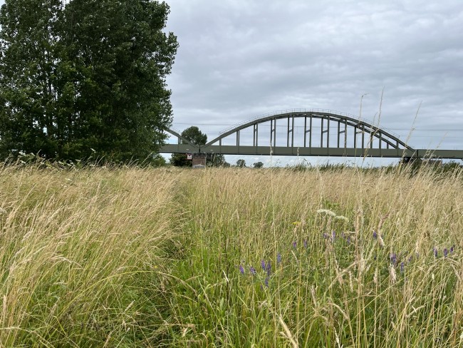 Achteromkijkend zie het pad nog net © Ernst Koningsveld