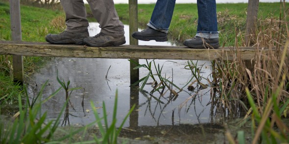 Close-up wandelen over bruggetje boerenlandspaden  © Wandelnet - Ad Snelderwaard.jpg