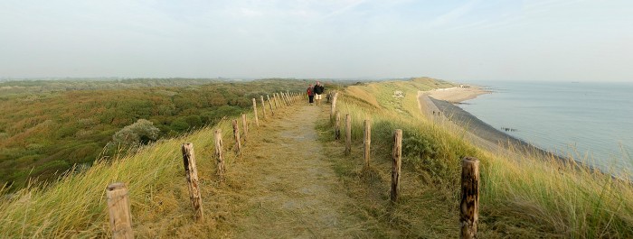 Zoutelande, duin Westkapelle, Ad Snelderwaard uitsnede2