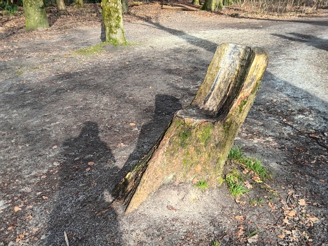 Stoel aan het Friese Woudenpad in Wilhelminaoord © Henk Pots