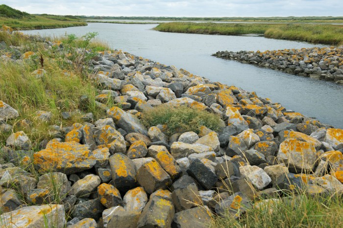 Streekpad_WaddenWandelen_etappe_Vlieland_1