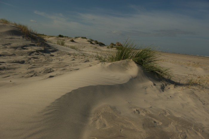 Streekpad_WaddenWandelen_etappe_Schiermonnikoog_3