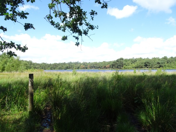 Brandeveen Oosterzand