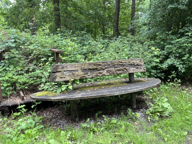 Bankje nabij natuurkampeerterrein De Veenkuil © Ernst Koningsveld